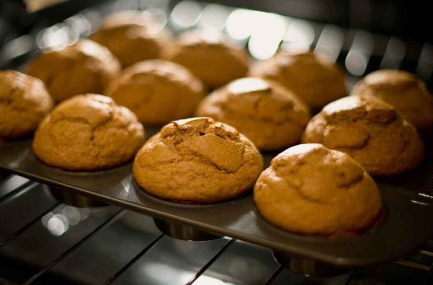 Muzlu muffin tarifi nasıl yapılır?