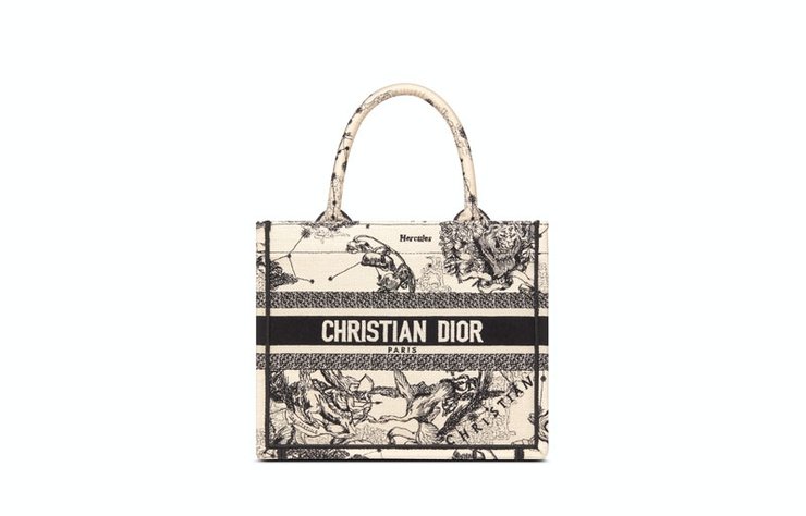 Dior Book Tote