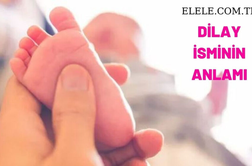 Dilay İsminin Anlamı, Özellikleri ve Detaylı İsim Analizi