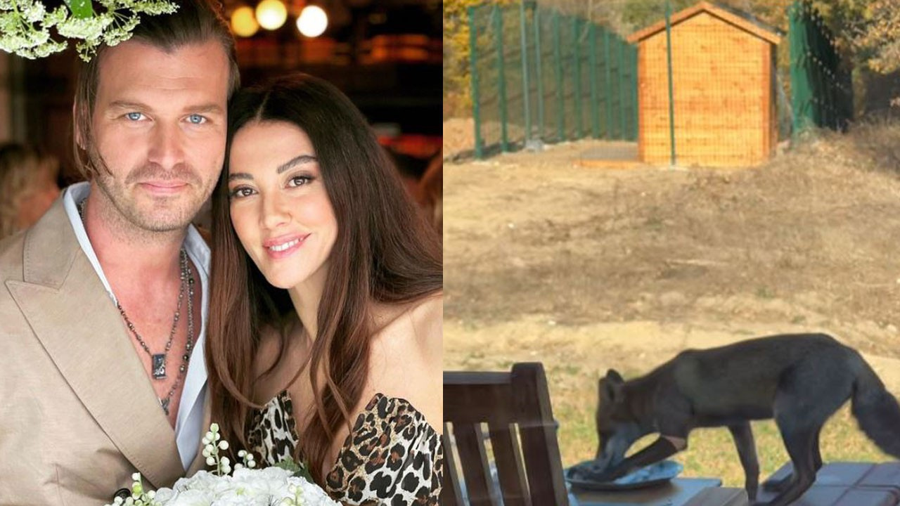 kivanc-tatlitug,-bahcesine-giren-tilkiyi-paylasti:-“adini-yakisikli-koyduk”