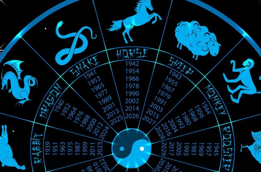 12 Hayvanlı Türk Takvimi: Hangi hayvalar var? Nasıl hesaplanır?